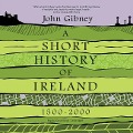 A Short History of Ireland, 1500-2000 - John Gibney