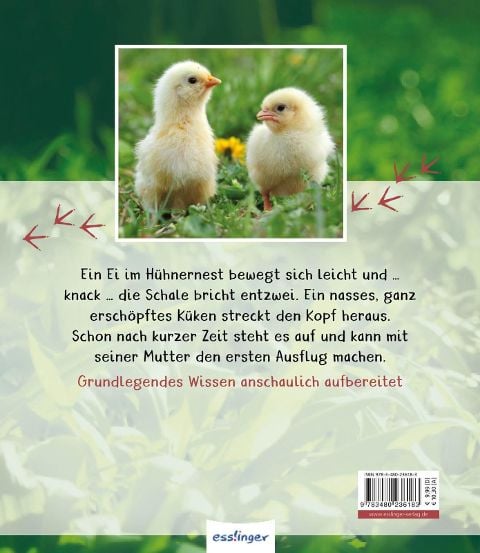 InsideView 6