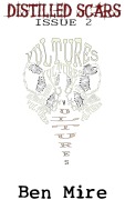 Cover-Bild zum Titel 'Vultures (Distilled Scars, #2)' von 'Ben Mire'