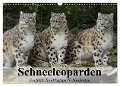 Schneeleoparden. Perfekte Raubkatzen-Schönheiten (Wandkalender 2024 DIN A3 quer), CALVENDO Monatskalender - Elisabeth Stanzer
