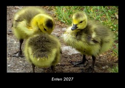 Cover-Bild zum Titel 'Enten 2027 Fotokalender DIN A3' von 'Tobias Becker'