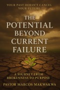 Cover-Bild zum Titel 'The Potential Beyond Current Failure' von 'Mulate'