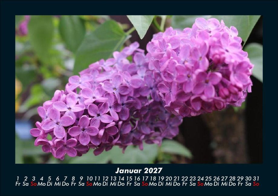 InsideView 5
