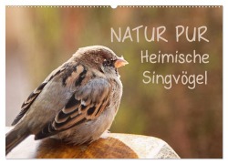 Cover-Bild zum Titel 'NATUR PUR Heimische Singvögel (Wandkalender 2026 DIN A2 quer), CALVENDO Monatskalender' von 'Karin Dietzel'