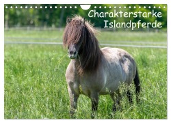 Cover-Bild zum Titel 'Charakterstarke Islandpferde (Wandkalender 2026 DIN A4 quer), CALVENDO Monatskalender' von 'Britta Berkenkamp'