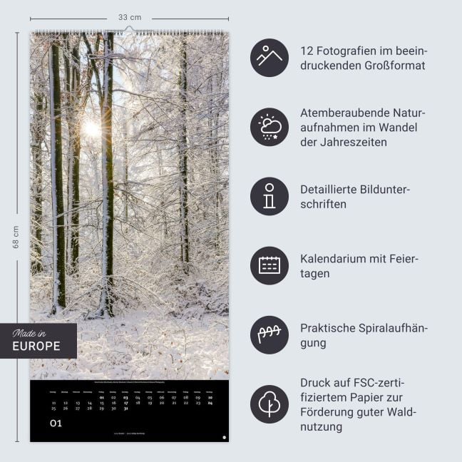InsideView 13