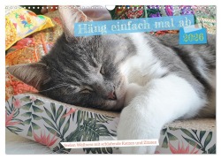 Cover-Bild zum Titel 'Häng einfach mal ab (Wandkalender 2026 DIN A3 quer), CALVENDO Monatskalender' von 'Michaela Schimmack'