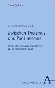 Cover-Bild zum Titel 'Zwischen Theismus und Pantheismus' von ''