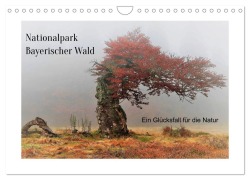 Cover-Bild zum Titel 'Ein Glücksfall für die Natur- Nationalpark Bayerischer Wald (Wandkalender 2026 DIN A4 quer), CALVENDO Monatskalender' von 'Friedrich Eichmann'