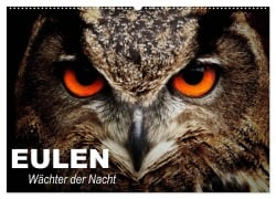 Eulen. Wächter der Nacht (Wandkalender 2026 DIN A2 quer), CALVENDO Monatskalender - Elisabeth Stanzer