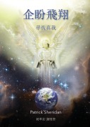 Cover-Bild zum Titel 'Expecting to Fly' von 'Patrick Sheridan'