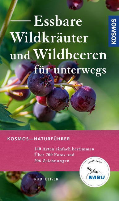 Essbare Wildkräuter und Wildbeeren für unterwegs - Rudi Beiser