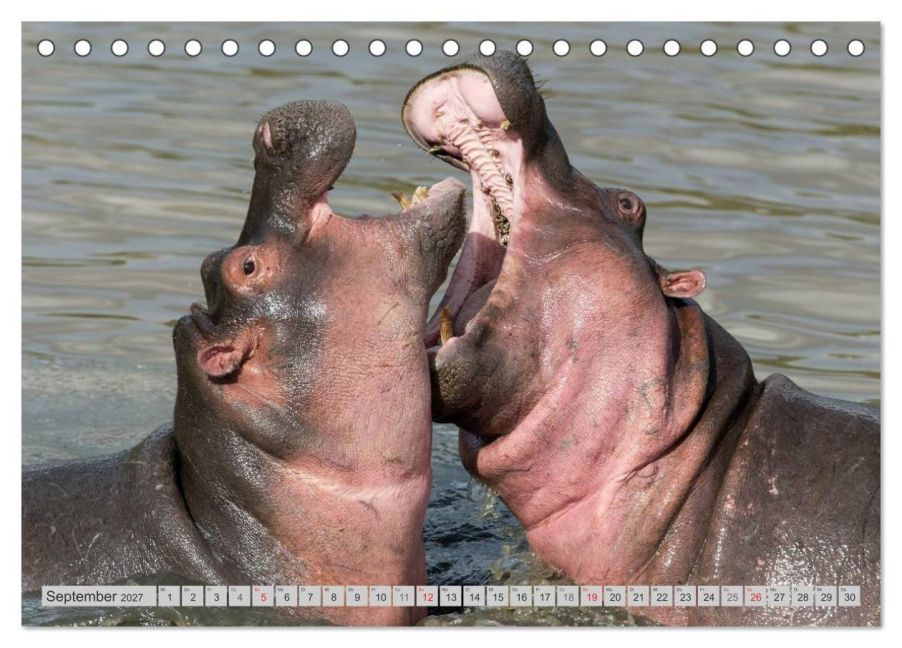 InsideView 14