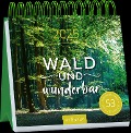 Postkartenkalender Wald und wunderbar 2025 - 