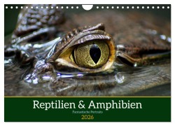 Cover-Bild zum Titel 'Reptilien & Amphibien Portraits (Wandkalender 2026 DIN A4 quer), CALVENDO Monatskalender' von 'Klaus Vartzbed'