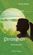 Cover-Bild zum Titel 'Strom' von 'Dieter Stiewi'