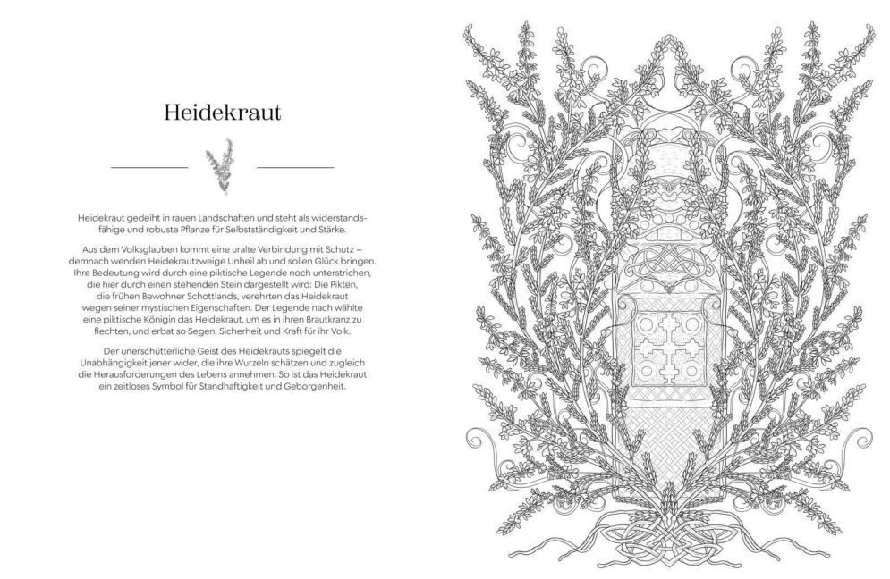 InsideView 4