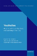Cover-Bild zum Titel 'Youthsites' von 'Stuart R. Poyntz, Julian Sefton-Green, Heather Fitzsimmons Frey'