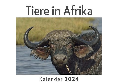 Tiere in Afrika (Wandkalender 2024, Kalender DIN A4 quer, Monatskalender im Querformat mit Kalendarium, Das perfekte Geschenk) - Anna Müller