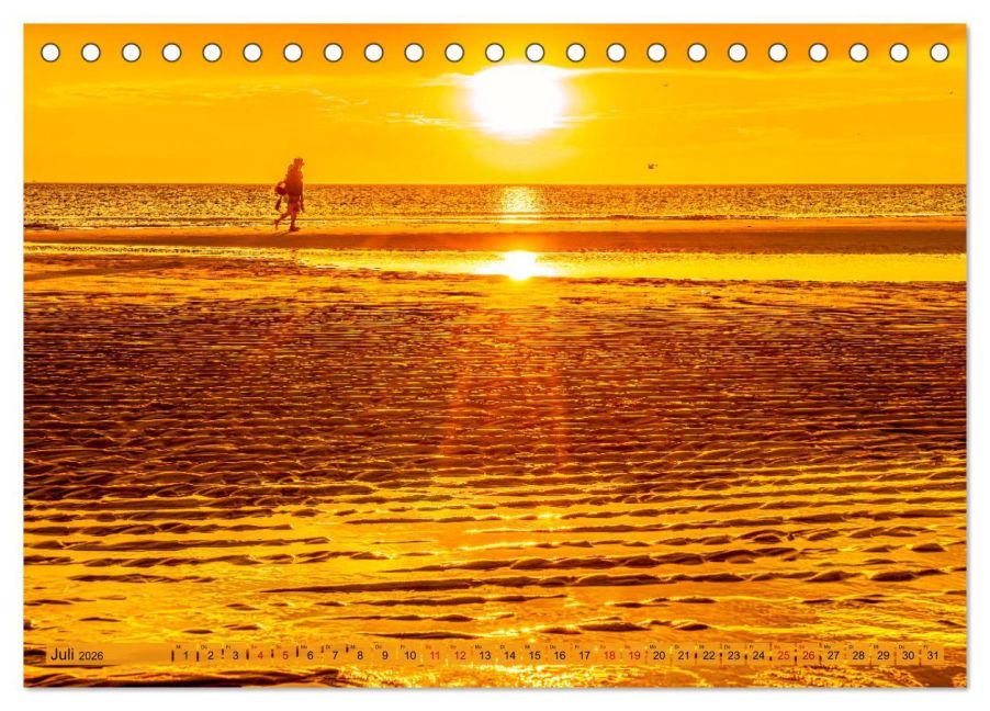 InsideView 12