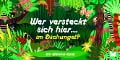 Wer versteckt sich hier im Dschungel? - Caroline Selmes