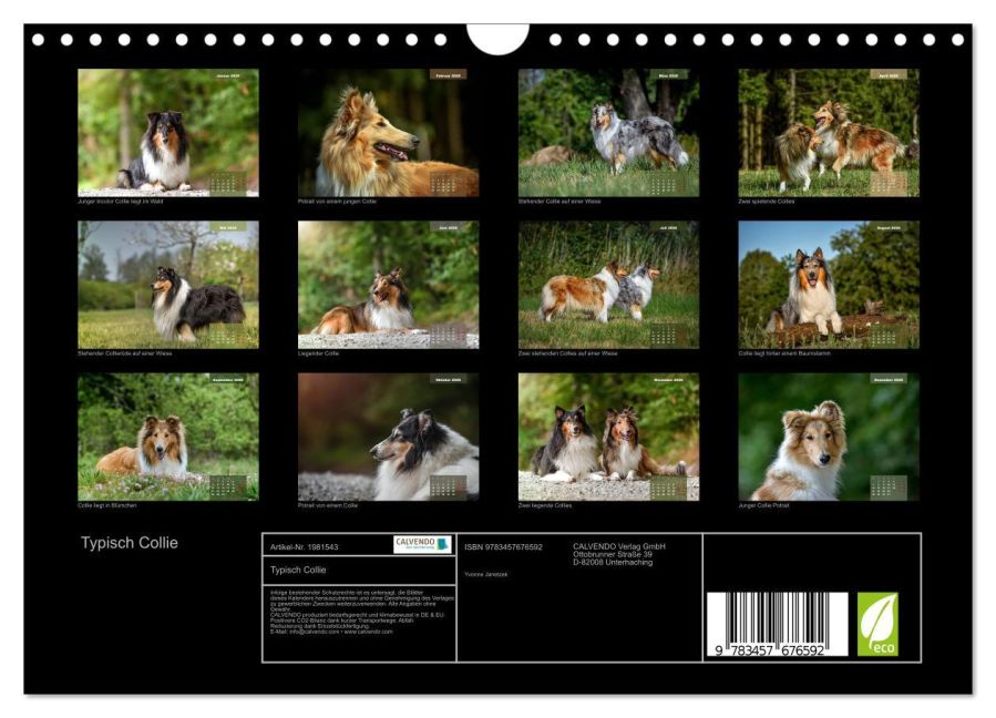 InsideView 5