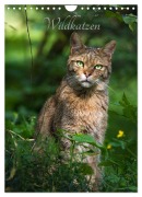 Cover-Bild zum Titel 'Wildkatzen - scheue Jäger (Wandkalender 2026 DIN A4 hoch), CALVENDO Monatskalender' von 'Cloudtail The Snow Leopard'