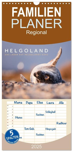 Familienplaner 2025 - Helgoland - Das Leben auf der Düne Helgolands mit 5 Spalten (Wandkalender, 21 x 45 cm) CALVENDO - Lain Jackson