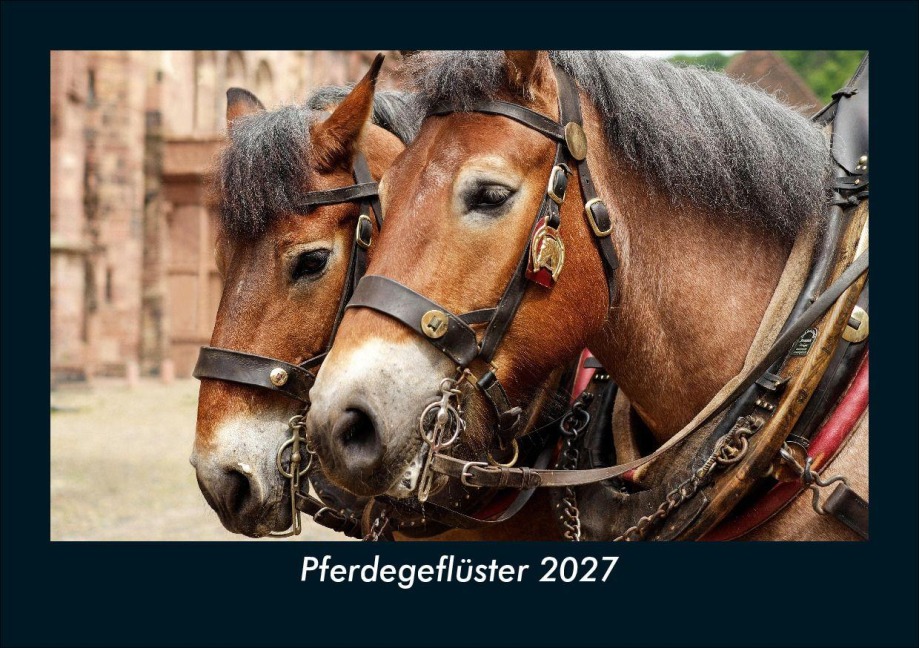 Pferdegeflüster 2027 Fotokalender DIN A5 - Tobias Schmitt, Kevin Heber