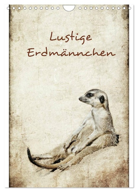 Lustige Erdmännchen (Wandkalender 2025 DIN A4 hoch), CALVENDO Monatskalender - Heike Hultsch