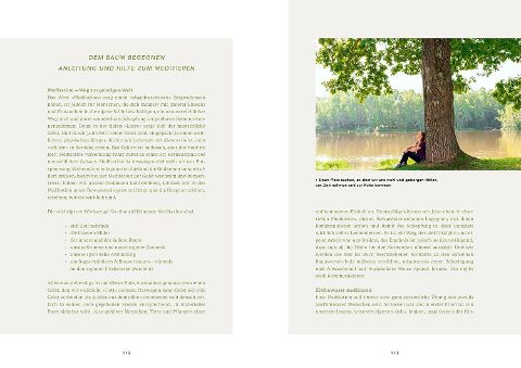 InsideView 5