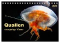 Quallen - einzigartige Wesen (Tischkalender 2024 DIN A5 quer), CALVENDO Monatskalender - Peter Roder
