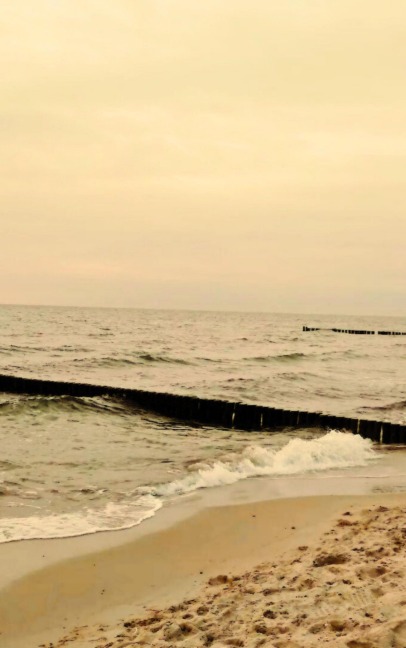 Nur ein paar Zeilen - Diana Seifert