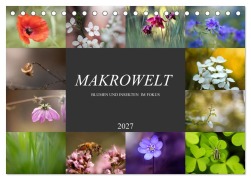 Cover-Bild zum Titel 'Makrowelt - Blumen und Insekten im Fokus (Tischkalender 2027 DIN A5 quer), CALVENDO Monatskalender' von 'Simone Mairhofer'