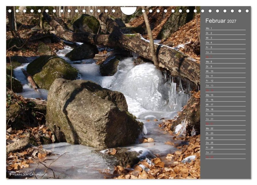 InsideView 7