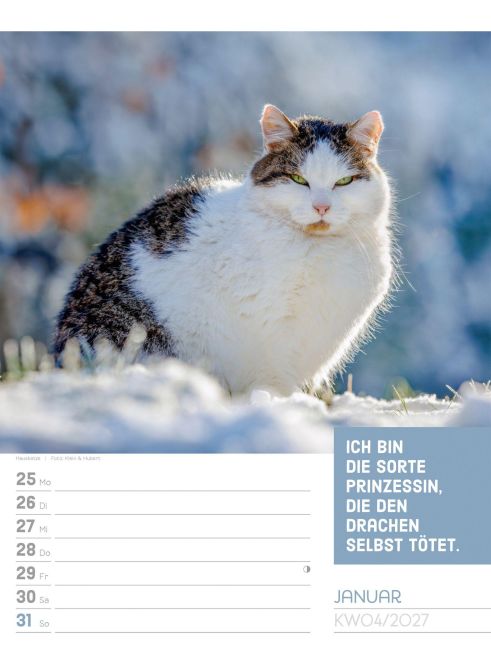 InsideView 8