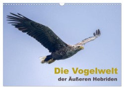 Cover-Bild zum Titel 'Die Vogelwelt der Äußeren Hebriden (Wandkalender 2026 DIN A3 quer), CALVENDO Monatskalender' von 'Leon Uppena'