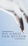 Cover-Bild zum Titel 'Die Gänse von Bützow' von 'Wilhelm Raabe'