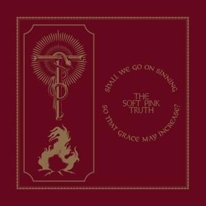 Shall We Go On Sinning So That Grace May Increase - The Soft Pink Truth