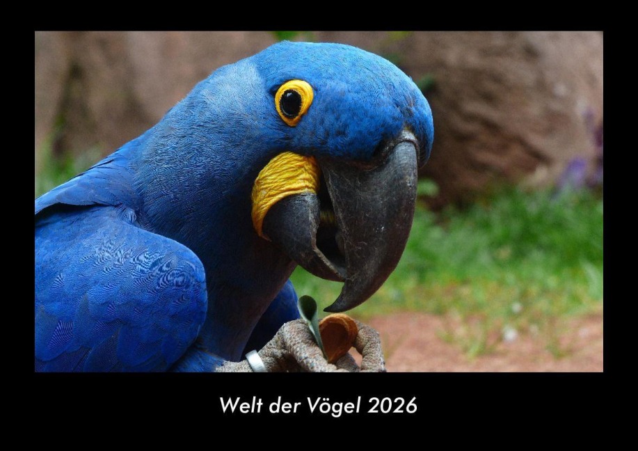 Welt der Vögel 2026 Fotokalender DIN A3 - Tobias Becker