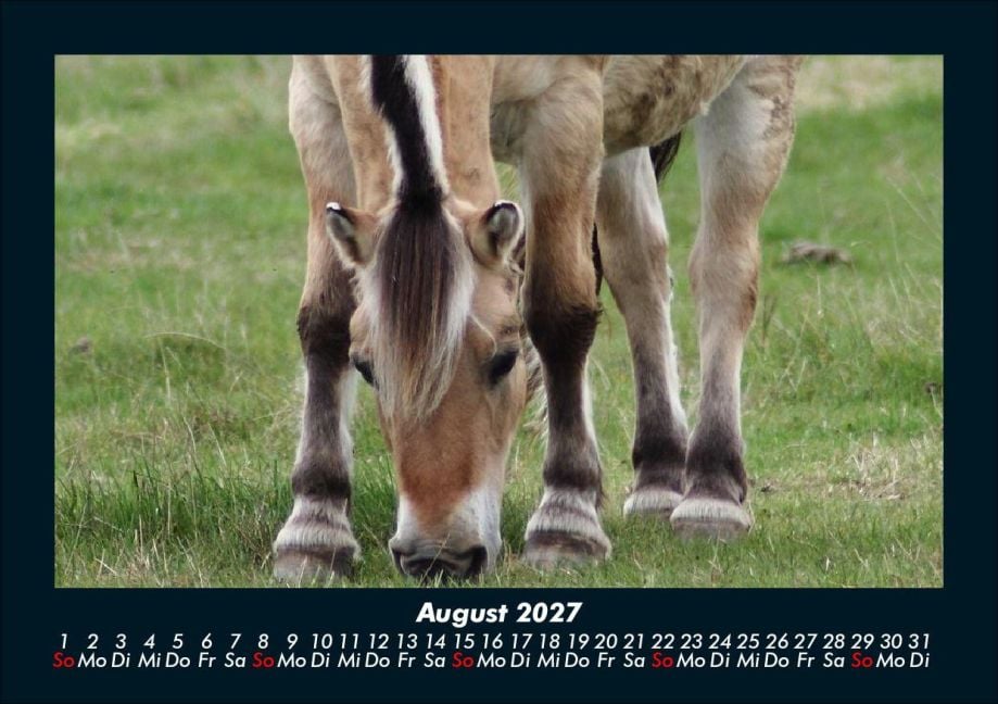 InsideView 12