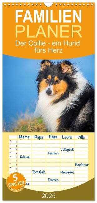 Familienplaner 2025 - Der Collie - ein Hund fürs Herz mit 5 Spalten (Wandkalender, 21 x 45 cm) CALVENDO - Sigrid Starick