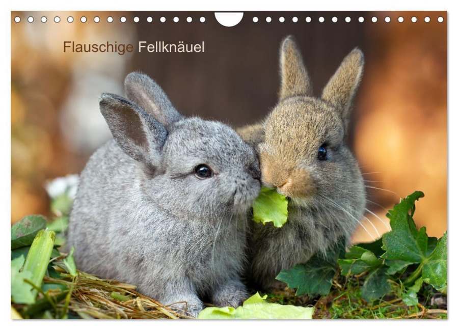 Flauschige Fellknäuel (Wandkalender 2026 DIN A4 quer), CALVENDO Monatskalender - Tina Olbrich
