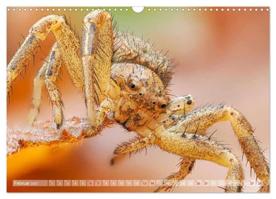InsideView 7