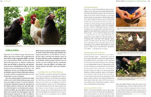 InsideView 5