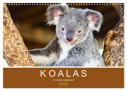 Cover-Bild zum Titel 'Koalas, putzige Gesellen (Wandkalender 2026 DIN A3 quer), CALVENDO Monatskalender' von 'Robert Styppa'