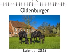 Cover-Bild zum Titel 'Oldenburger' von 'Julian Bauer'