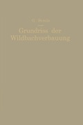 Cover-Bild zum Titel 'Grundriß der Wildbachverbauung' von 'Georg Strele'