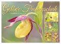 Gelber Frauenschuh (Wandkalender 2025 DIN A3 quer), CALVENDO Monatskalender - Sabine Löwer