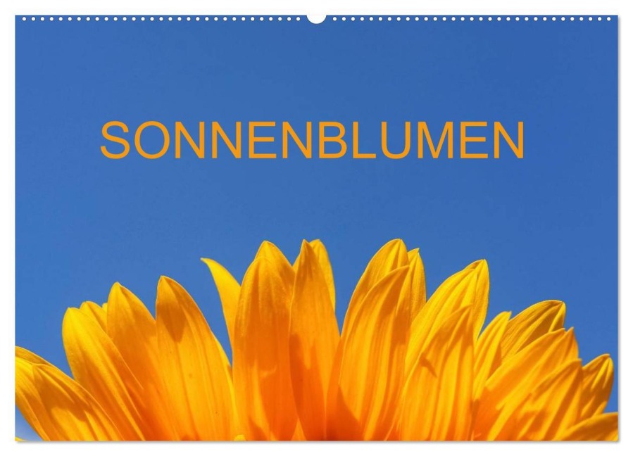 Sonnenblumen (Wandkalender 2026 DIN A2 quer), CALVENDO Monatskalender - Thomas Jäger